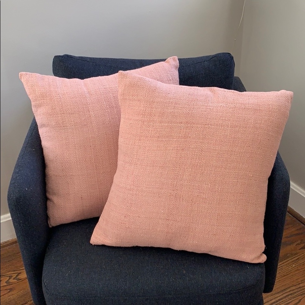 2 West Elm throw pillows